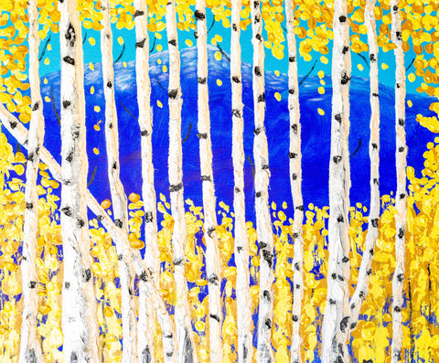 Birch Trees - Mountains