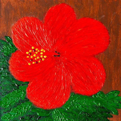 Red Hibiscus