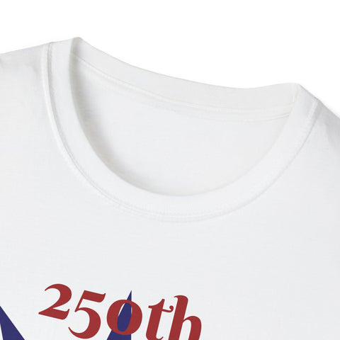 250th Anniversary USA T-Shirt — Original Patriotic Painting with 'We the People' Front & Back