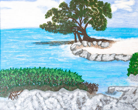 Mangroves Protecting the Florida Keys